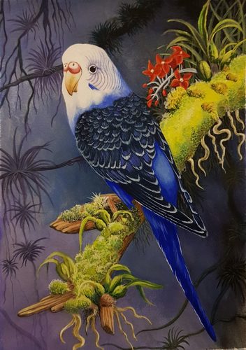 Gouache, Budgie, Freedom.